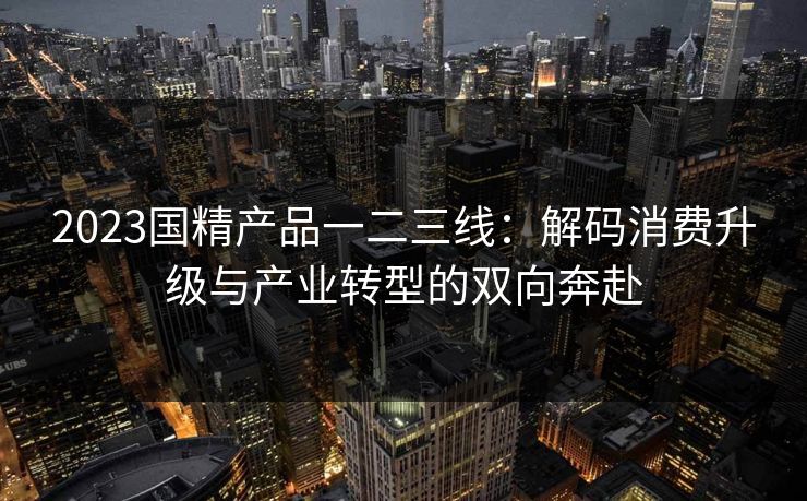 2023国精产品一二三线：解码消费升级与产业转型的双向奔赴