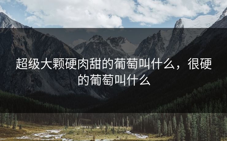 超级大颗硬肉甜的葡萄叫什么,很硬的葡萄叫什么 超级大颗硬肉甜的葡萄叫什么,很硬的葡萄叫什么